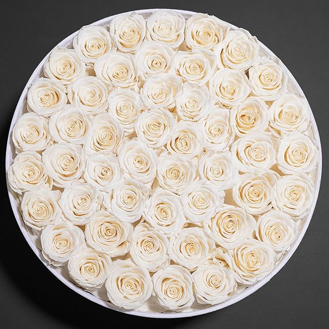 50 Piece Roses in a Velvet Box, Flowers for Delivery, Presereved Flowers Birthday Gifts for Women Mom and Wife (Off-White)