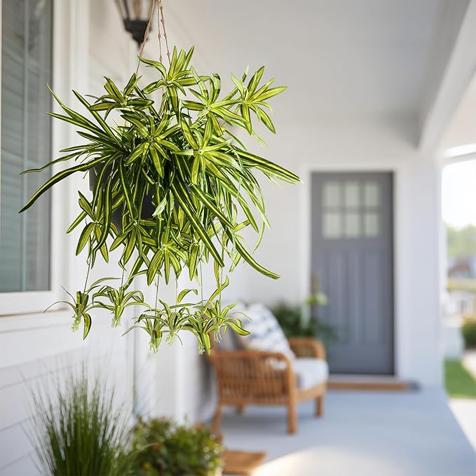 2 Pcs Artificial Spider Hanging Plant Artificial Bracketplant Chlorophytum Fake Greenery for Outdoor Porch Patio Window Shelf Office Garden Home Decor (Green)