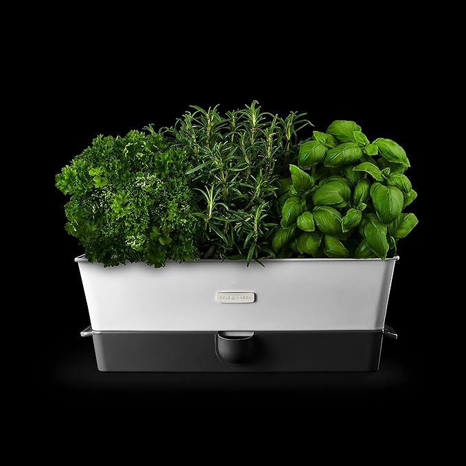 Cole & Mason Burwell Self-Watering Potted Herb Keeper Triple
