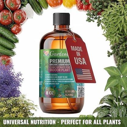 GARDENERA Premium Organic Seaweed & Kelp Superfood for Lavender Plants - 8 oz - Liquid Kelp Fertilizer Concentrate (Makes 45 Gallons)