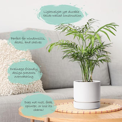 Phoenix Vine 6 Inch Planter Pot with Drainage Hole & Saucer, Deep Water Catch Tray, Straight Cylindrical Round Pot for Plants, Matte White, Pack of 3, 23-B-S-3