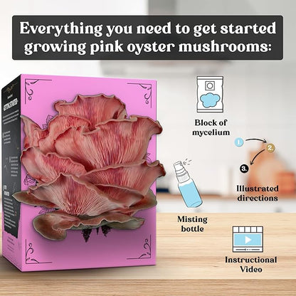 Pink Oyster Mushroom Grow Kit (4lbs) | USDA Certified Organic | Grow Your Own Delicious Gourmet Mushrooms at Home