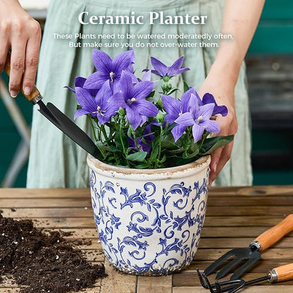 Vintage Ceramic Planter Without Drainage Hole, 6.5 Inch - Indoor/Outdoor Flower Pot for Orchids, Succulents, Blue Floral Rustic Farmhouse Plant Pot for Home, Office & Garden Décor, Ideal Gift