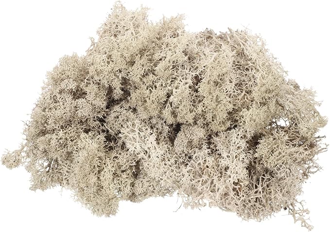 MECCANIXITY 3oz Preserved Reindeer Moss, Brown Decorative Artificial Fake Moss for Potted Plants Indoor Crafts Lichen Centerpieces Decor