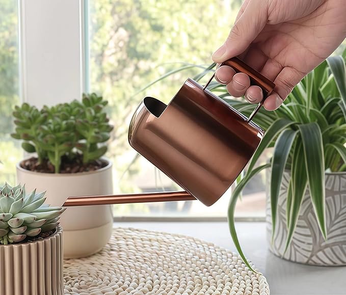 Watering Can 10oz/300ml Stainless Steel Long Spout Semi Open Powder Coated Flower Watering Pot for Garden Family Outdoor