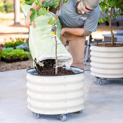 Rolling Metal Citrus Tree Planter Pot, 24″ Round Planter Box for Porch Patio & Backyard, 30 Gallon Large Planter Pot with Wheels for Growing Trees Tomatoes Vegetables and Flowers, Pearl White