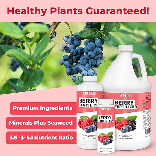 Berry Fertilizer, Complete Liquid Strawberry and Blueberry Plant Food, Great for All Berries, 32 oz (1 Quart)