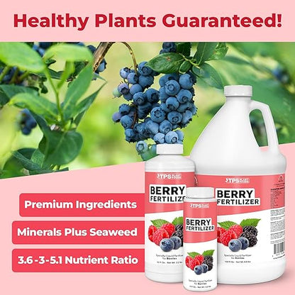 Berry Fertilizer, Complete Liquid Strawberry and Blueberry Plant Food, Great for All Berries, 32 oz (1 Quart)