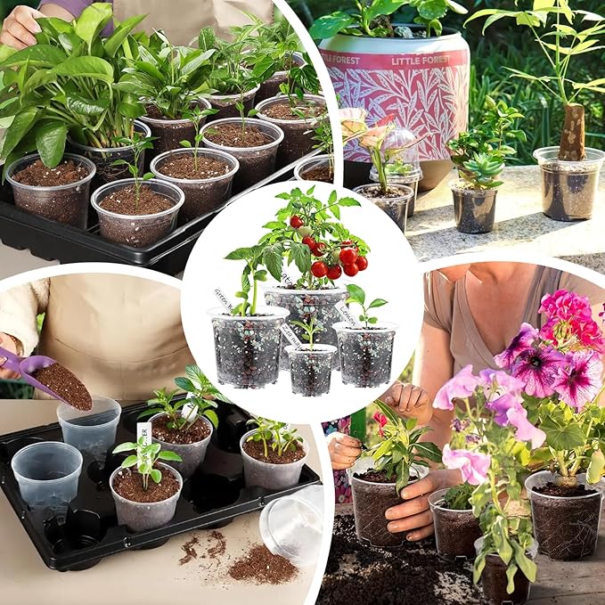 30 Pcs Clear Nursery Pots with Drainage Indoor 5 6 7 Inch Nursery Pot with Drainage Holes Plastic Seedling Pots for Plants, Plant Starter Pot with Holes Clear Plastic Planter with Plant Saucers
