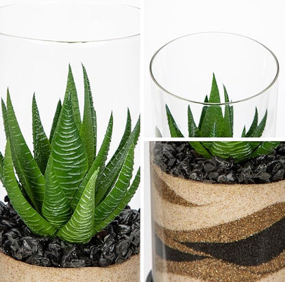 Artificial Succulent in Cylindrical Glass Vase Fake Aloe Plant with Modern Glass Terrarium for Home Decor Farmhouse Hostess Gift
