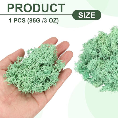 MECCANIXITY 3oz Preserved Reindeer Moss, Green Decorative Artificial Fake Moss for Potted Plants Indoor Crafts Lichen Centerpieces Decor