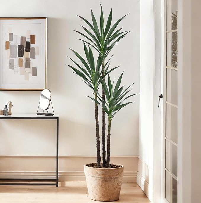 Artificial Agave Tree 5.2FT with 45 Leaves & 3 Trunks & Elegant Black Pot Lifelike Tall Large Fake Faux Modern Tree 62 Inch for Indoor Home Office Porch Store Corner Decor Housewarming Gift