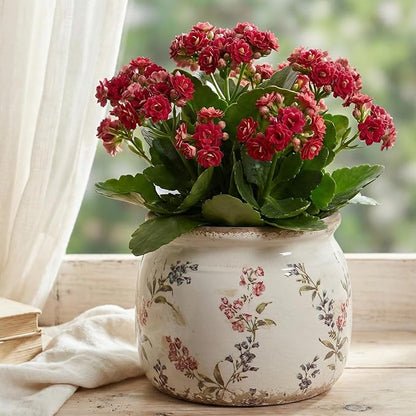Flower Pots, Vintage Planters for Indoor Plants, 6.29'' Plant Pots with Drainage, Ceramic Pots for Plants, Vase & Planters, Indoor Planter for Home, Christmas Decorations, Purple Red