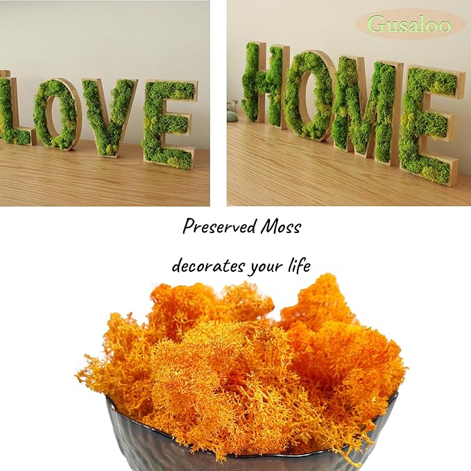 Moss Preserved Moss for Potted Plants Natural Fresh Green Reindeer Moss for Craft Arts Floral Wall Decor Decor Wedding Centerpieces Garden Artificial Terrariums Decoration for Christmas-Orange 3.52OZ