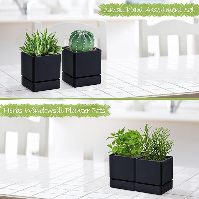 D'vine Dev 4 Inch Herb Planter Pot, Plastic Planter with Drainage Holes and Saucer, Modern Decorative Gardening Pot for Indoor Plants, Flowers, Herbs, Succulents, Black, Set of 2, 76-Y-B2-1