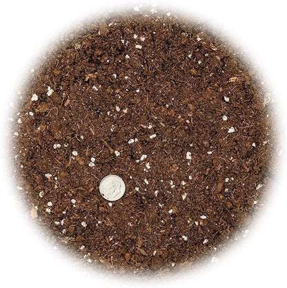 GARDENERA Premium Dracaena Potting Soil Mix - (4 Quart Bag)