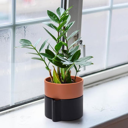 6.5 Inch Self-Watering Planter Pot with Terracotta Insert, Deep Water Reservoir, and Ceramic-Alike BPA-Free Plastic Pot for Plant, Modern Planter for Houseplants, Black/Terracotta, 53-B-S-5