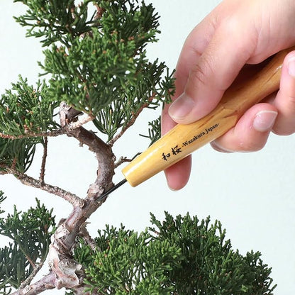 Wazakura Made in Japan Bonsai Chisel Single Bevel Skewed Hand Carving Tool 1.5 mm for Jin Shari Making, DIY Woodcarving Knife for Experts and Beginners (Single Bevel Skewed Kiwa Shape 1.5 mm)