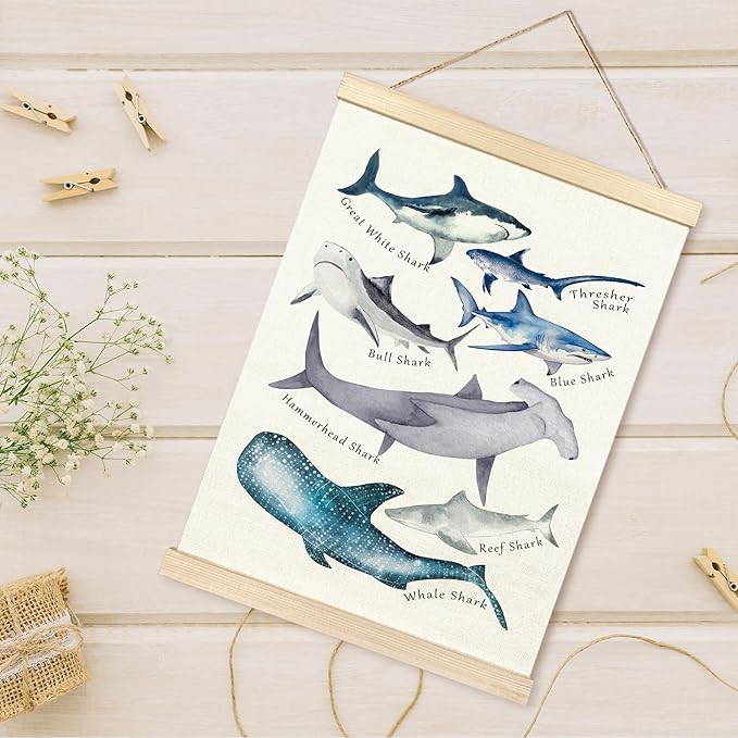 TAEDIN Watercolor Shark Ocean Animal Chart Poster Hanger Frame, Educational Shark Decor Wood Wooden Canvas Artwork Print, Sea Life Wall Painting for Home Bedroom Classroom Library Dorm Decor 12X16