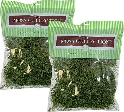 Preserved Spanish Moss - Premium Decorative Moss for Crafts, Home Décor, Art, Design & DIY Projects - Real Moss - Non-Toxic, USA-Made (Green Apple, Medium, 2-Pack)
