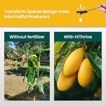 32oz Mango Fruit Tree Fertilizer - Makes 32 Gallons of Mango Tree Fertilizer for Mangoes, Nutrient-Rich Liquid Plant Food for Strong Roots, Lush Foliage, and Abundant, Juicy Mangos