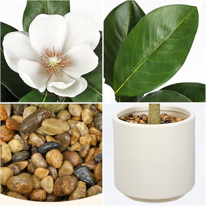 Briful 3FT Artificial Magnolia Flower Tree Faux White Magnolia Floral Tree with Cream Resin Pot Silk Flower Tree for Home & Office Living Room Décor