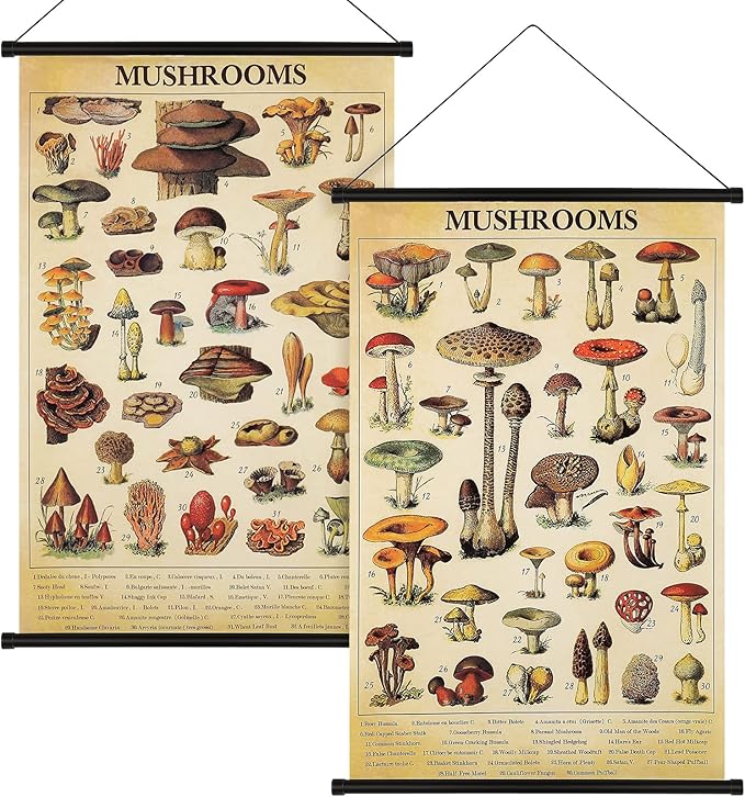 Geosar 2 Pcs Vintage Mushroom Flower Butterfly Tree Poster Fungus Rustic Wall Hanging Illustrative Reference Chart Poster for Bedroom Living Room, 15.7 x 23.6 Inch(Vintage Mushroom)