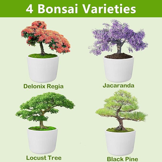 Bonsai Starter Kit with Seeds, Tools & Planters, Live Plants Indoor, Gardening Gifts for Women Men Mom Father Plant Lover