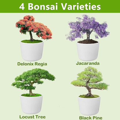 Bonsai Starter Kit with Seeds, Tools & Planters, Live Plants Indoor, Gardening Gifts for Women Men Mom Father Plant Lover