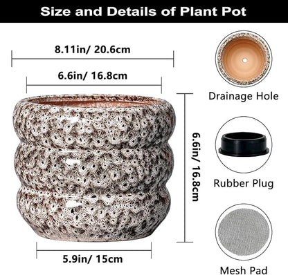 SQOWL Ceramic Plant Pots - 8 Inch Ceramic Planter for Indoor Plants Outdoor, Round Planter with Drainage Hole, Round Decorative Flower Pots, Living Room Office Garden Decor, Gardening Gifts, White