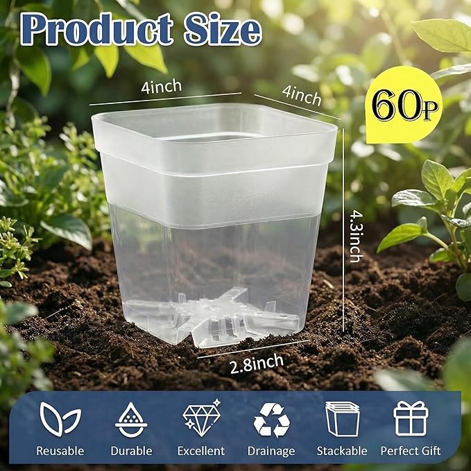 60 Pcs Clear Square Nursery Pots 4 Inch, Reusable Seedling Pots with Drainage Holes, Transparent Small Plant Potting Pot Containers for Seedlings Microgreens, Flowers, Indoor Gardening