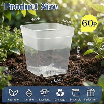 60 Pcs Clear Square Nursery Pots 4 Inch, Reusable Seedling Pots with Drainage Holes, Transparent Small Plant Potting Pot Containers for Seedlings Microgreens, Flowers, Indoor Gardening