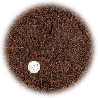 Premium New Zealand Tree Fern by GARDENERA - Orchid and Epiphytal Plants Growing Medium and Reptile Substrate - 4 Quart Bag