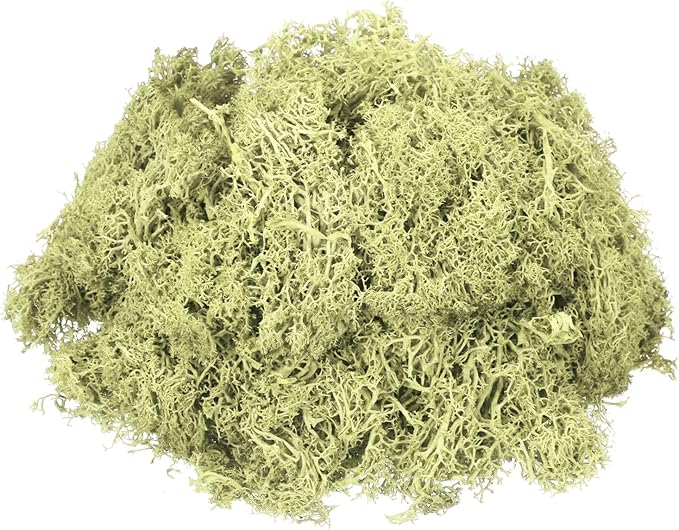 MECCANIXITY 3oz Preserved Reindeer Moss, Light Bright Green Decorative Artificial Fake Moss for Potted Plants Indoor Crafts Lichen Centerpieces Decor