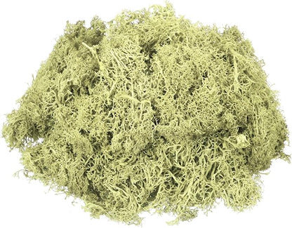 MECCANIXITY 3oz Preserved Reindeer Moss, Light Bright Green Decorative Artificial Fake Moss for Potted Plants Indoor Crafts Lichen Centerpieces Decor