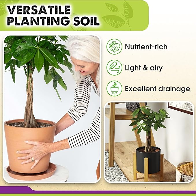 DUSPRO Recycle Money Tree Soil Indoor, Premium Coco Coir Perlite Mix and Pine Bark for Money Tree, Ideal Money Tree Soil for Healthy Growth and Nourishment (4 Quarts)
