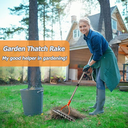 Thatch Rake,14-Inch Lawn Thatching Rake,Reinforced Neck with Heavy Duty Handle, Multi Angle Tine Design for Efficient Dead Grass Removal and Soil Care