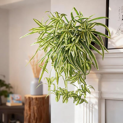 2 Pcs Artificial Spider Hanging Plant Artificial Bracketplant Chlorophytum Fake Greenery for Outdoor Porch Patio Window Shelf Office Garden Home Decor (Yellow)