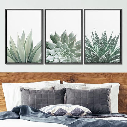 Ashbrook Framed Canvas Print Wall Art Set Green Desert Cactus Succulent Variety Nature Wilderness Photography Modern Art Minimal Chic Colorful for Living Room, Bedroom, Office - 16"x24"x3 Black