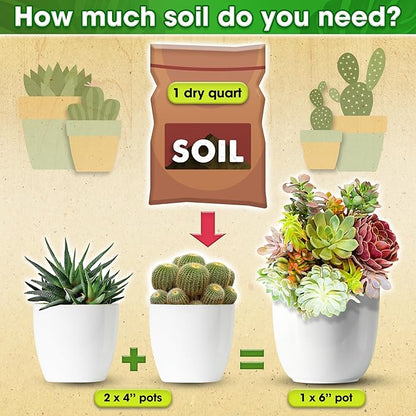 DUSPRO Succulents Soil Potting Mix – 7 in 1 Ingredients Well-Draining, Nutrient-Rich Cactus Potting Soil for Succulents and Cacti, Indoor & Outdoor Use, Ready to Use, Supports Healthy Root Growth, 8QT