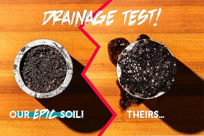 High Drainage Succulent Soil Potting Mix with Coffee Compost & Mycorrhizhal Fungi - 4 Dry Quarts - Slighly Acidic, Gritty Soil for Edgy Plants - Spike & Bloom