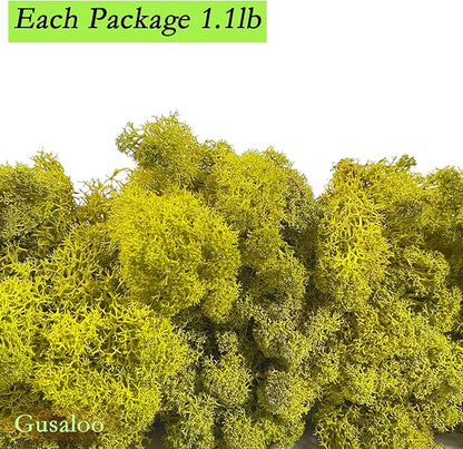 Preserved 1.1lb Moss Artificial Moss Natural Fresh Green Moss for Craft Handicraft Arts Floral Project Wall Decor Table Decor Wedding Centerpieces Garden Terrariums Decoration
