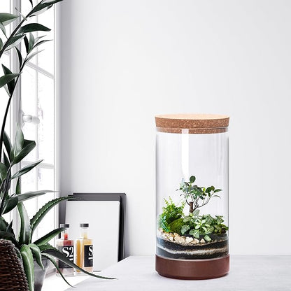 Clear Glass Houseplant Terrarium Planter, 6" W x 12" H, Cylindrical Terrarium with Wooden Base & Cork Lid | Versatile Tabletop Decoration for Home or Office or Hydroponics (Plant Not Included), 41-A-L