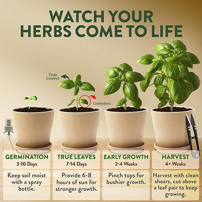 HOME GROWN Herb Garden Planter Indoor Kit – Unique Christmas Gift for Adults, Men, & Women - Grow 4 Heirloom Herb Seeds on Kitchen Window – Beginner DIY Craft & Hobby Gardening Gift for Plant Lovers