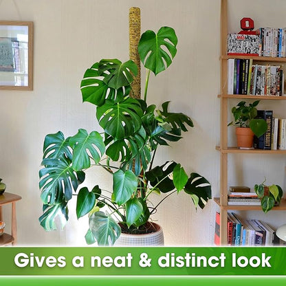 DUSPRO 59 Inches Non-Bendable Pole for Big Climbing Plants, Large Moss Pole for Monstera, Indoor Plant Stakes, Support (1pc., 59'')