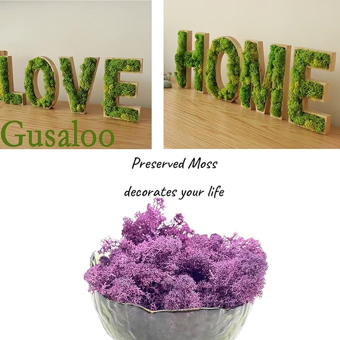 Moss Preserved Moss Natural Fresh Green Moss for Craft Arts Floral Project Wall Decor Table Decor Wedding Centerpieces Garden Artificial Terrariums Decoration- Purple 3.5OZ