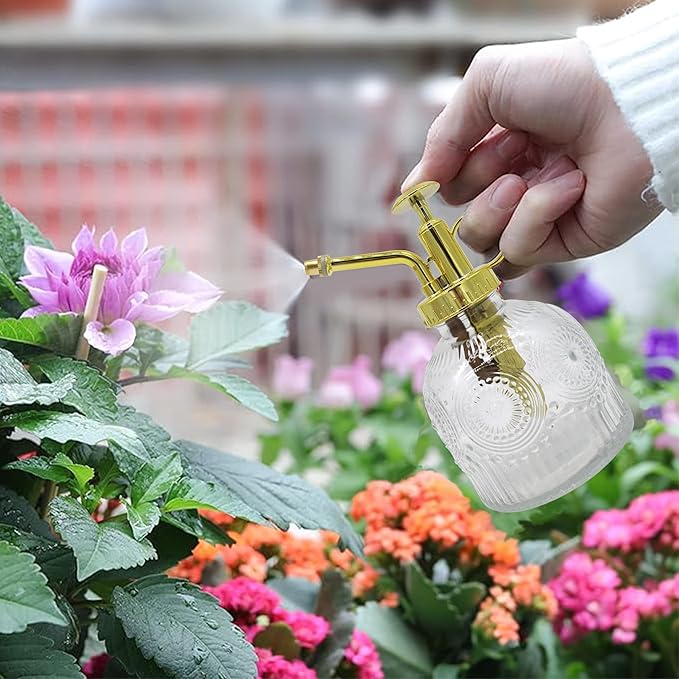 Glass Plant Mister Spray Bottle, 230ML Vintage Plant Spritzer, Succulent Watering Bottle Glass with Top Pump, Small Plants Sprayer Watering Can for Indoor Outdoor House(Clear)