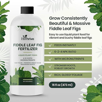 16oz Fiddle Leaf Fig Plant Food - Makes 96 Gallons of Fertilizer, Liquid Houseplant Fertilizer for Ficus Plants, Ideal Fiddle Leaf Fertilizer, 6-2-4 NPK Ficus Plant Food for Strong, Healthy Growth