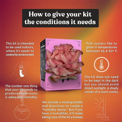 Pink Oyster Mushroom Grow Kit (4lbs) | USDA Certified Organic | Grow Your Own Delicious Gourmet Mushrooms at Home