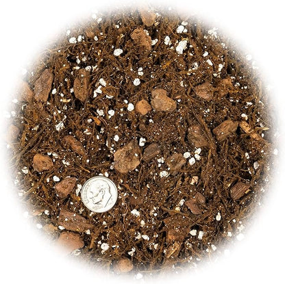 Premium Gardenera House Plant Potting Mix | Fern + New Zealand Bark + Perlite | Great for Pothos, Spider Plants, Montsera, Philodendron, English Ivy - 5 Quart Bag